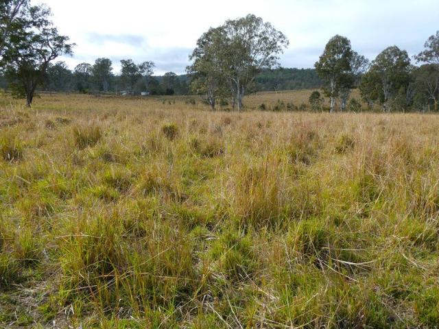 Premium Rural Holding with Scale, Water and Potential