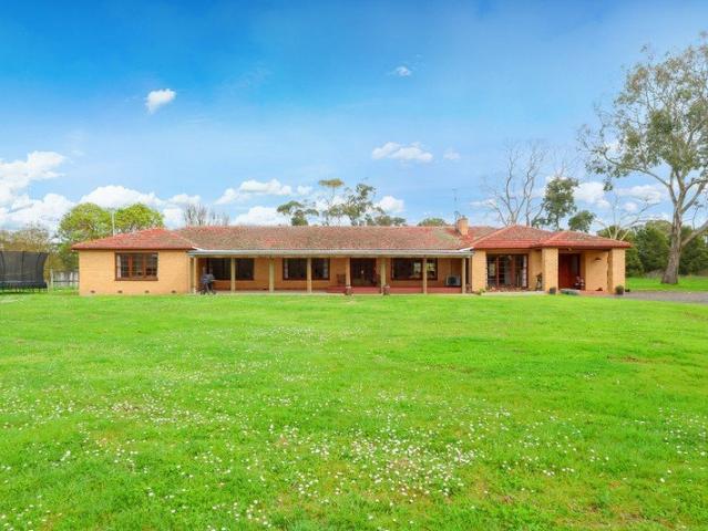 Premium Rural Lifestyle & Stud Livestock Opportunity