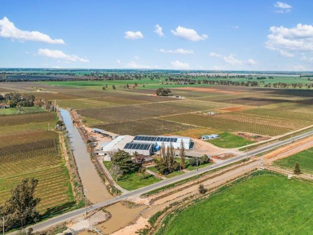 Premium Stone Fruit Orchards
