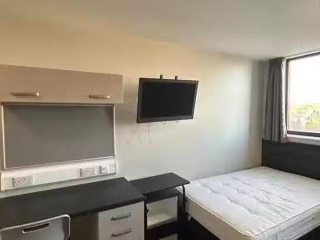 Premium Studio Double