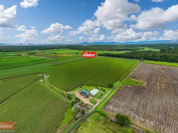 44 Kelly Road Lower Tully is a farming opportunity ready to go for the farmer who loves the land