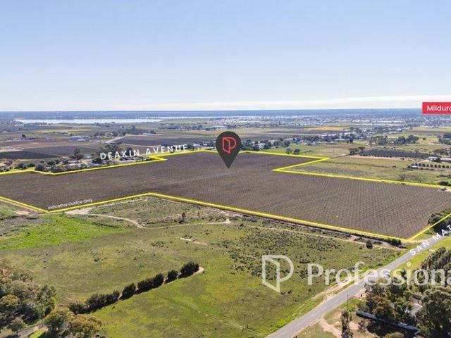 Premium Table Grape Holding 24.05 Ha 59.43 Acres
