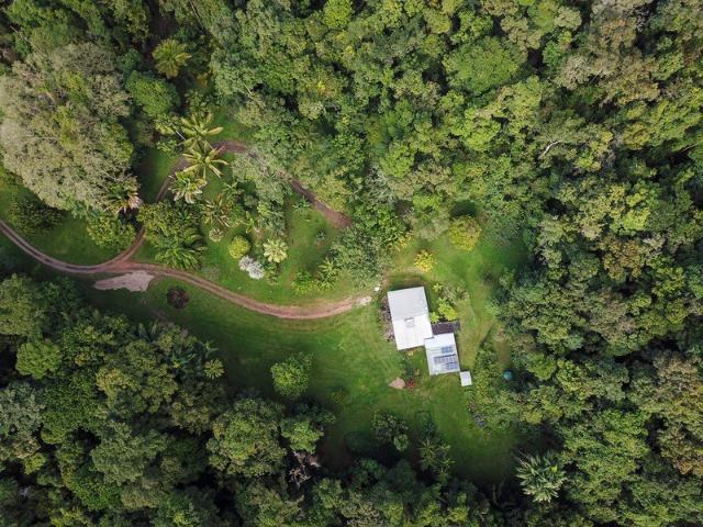 Premium Tropical Agribusiness & Land Investment An Opportunity of Genuine Rarity