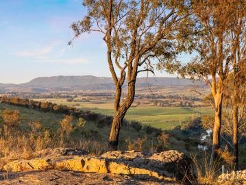 Premium Vacant Land in Established Hunter Valley Estate