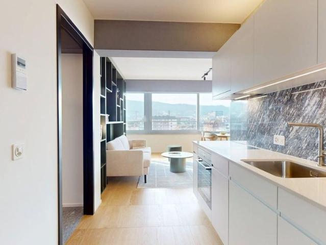 Premium 1 Bedroom Apartment in New Alto Tower – Freihofstrasse 23, Zürich