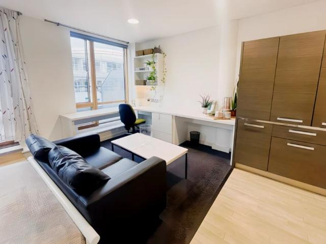 Premium 3 Studio