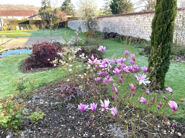 Près de Verteuil sur Charente, Charmante Maison de Village I. 240m² Poursac
