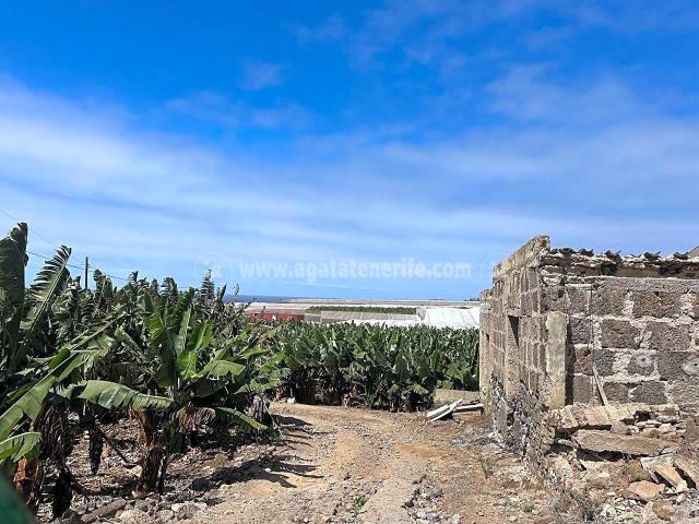 Presentamos a su atención un negocio en funcionamiento para. 196m² Buenavista del Norte