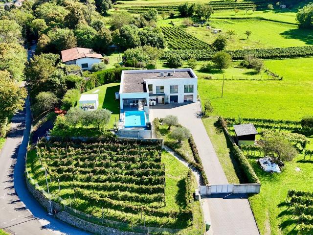 Repräsentative zeitgenössische Villa mit Garten, Pool und privatem Weinberg
