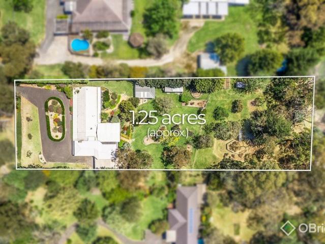 Prestigious 1.25 Acre Lifestyle Oasis | Grand Home, Manicured Gardens & Workshop