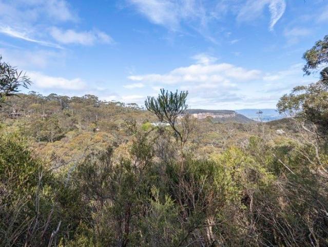 PRESTIGIOUS LAND PARCEL WITH UNINTERRUPTED ESCARPMENT VIEWS