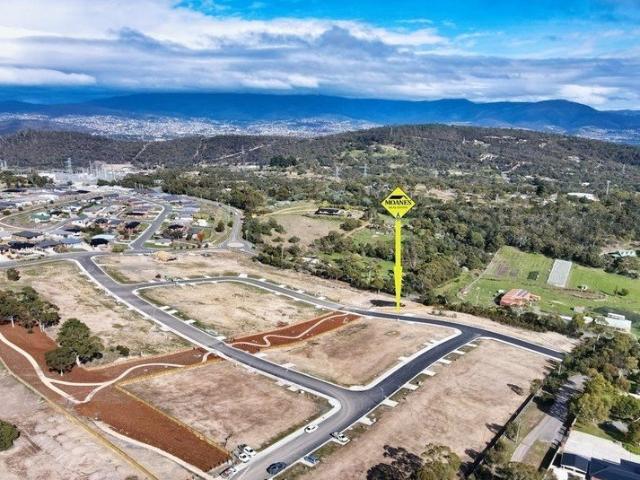 Prestigious Olive Grove Estate