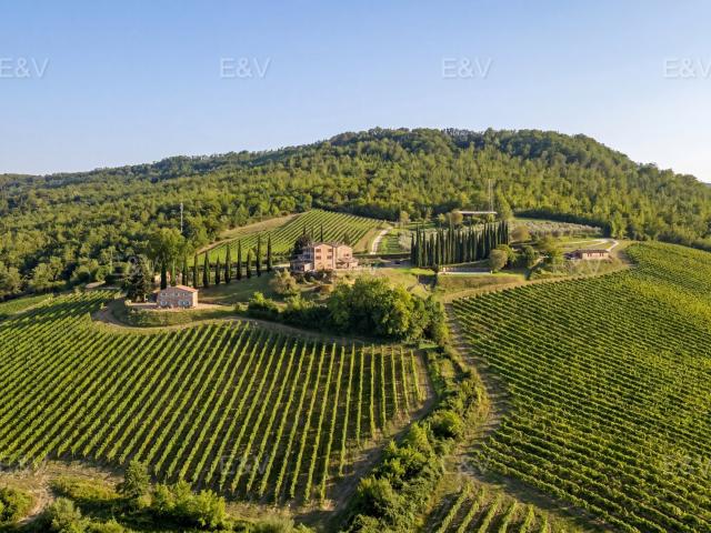 Prestigiosa tenuta con attività vitivinicola e vista sul Duo. 700m² Orvieto