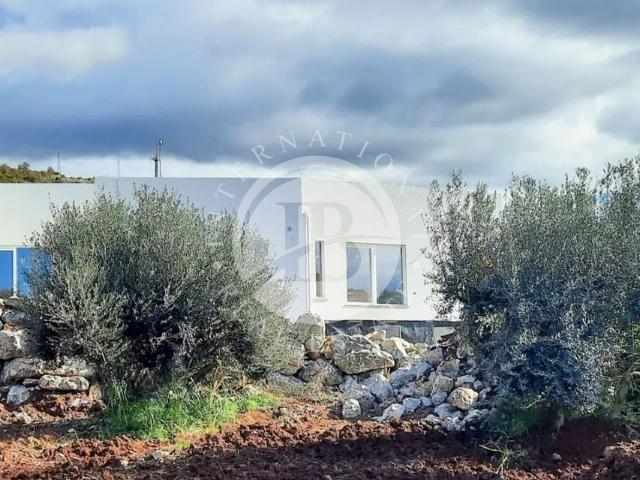 Esclusiva villa di 545 mq in vendita Diamante, Italia