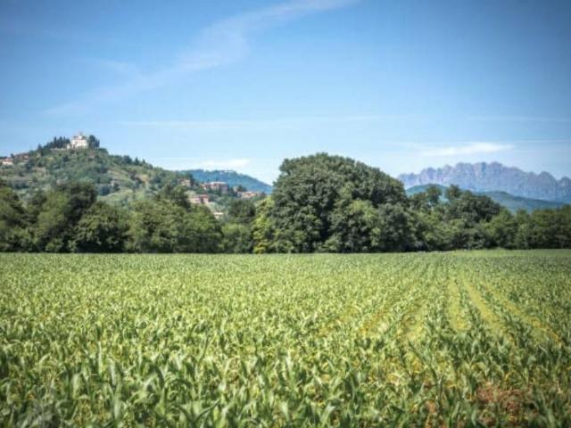 Prestigiosa villa di 595 mq in vendita Via del Belsedere, Montevecchia, Lecco, Lombardia