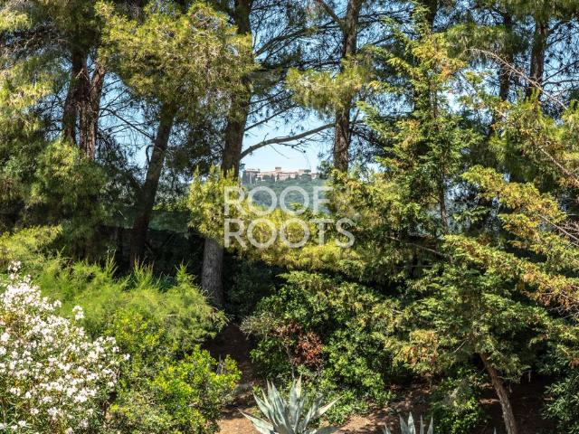 Villa in vendita Via Poggio al Pero 57025 Piombino, Piombino, Toscana