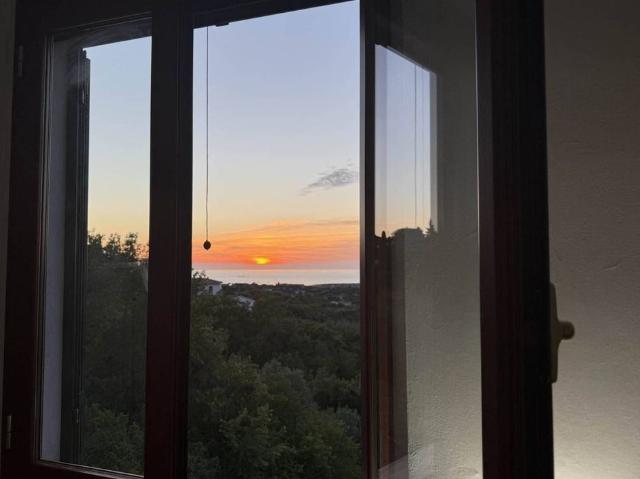 Prestigiosa villa di 140 mq in vendita, Via del Pino, Livorno, Toscana