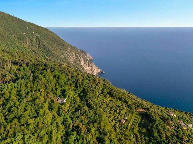 Prestigiosa villa di 224 mq in vendita Località Mesco, Levanto, La Spezia, Liguria