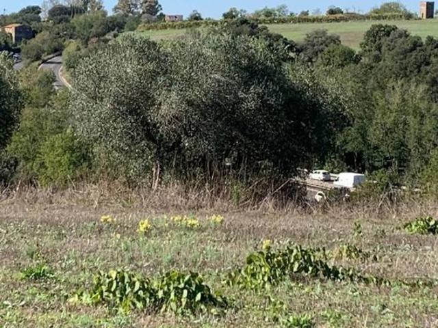 Prestigiosa villa di 290 mq in vendita, Via Tufetto, Aprilia, Lazio