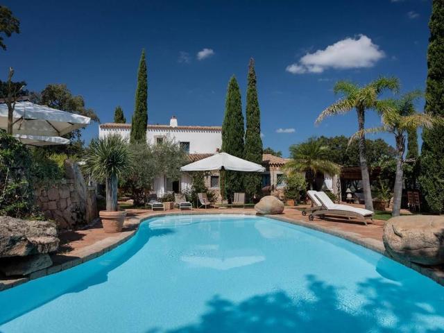 Prestigiosa villa di 350 mq in affitto, Via Stazzu Lu Saraghinu, 12/2, Olbia, Sardegna