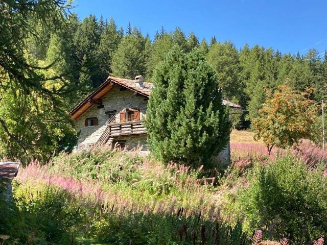 Prestigiosa villa in vendita Strada Regionale di Col d'Arpy, Morgex, Aosta, Valle d’Aosta