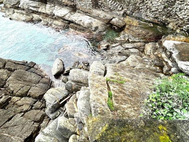 Villa di 442 mq in vendita Via Romagneno, Recco, Liguria
