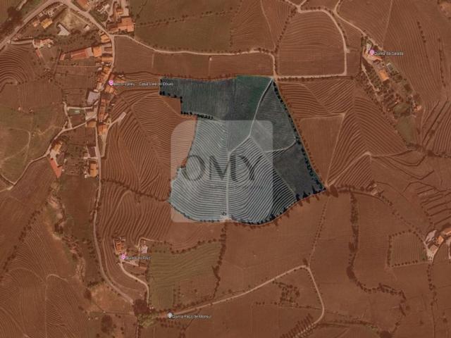Casa de luxo de 47843 m² à venda Lamego, Portugal