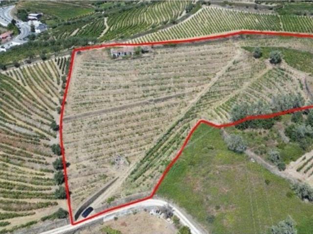 Terreno de 343 m2 à venda Peso da Régua, Portugal