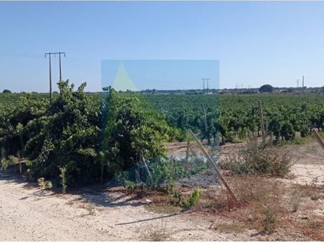 Prestigiosa casa de 129900 m² à venda Palmela, Portugal