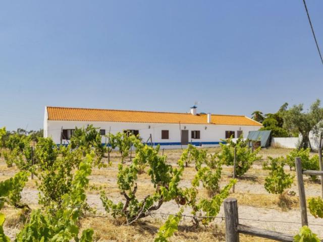 Prestigiosa casa de 250 m² à venda Grândola, Portugal