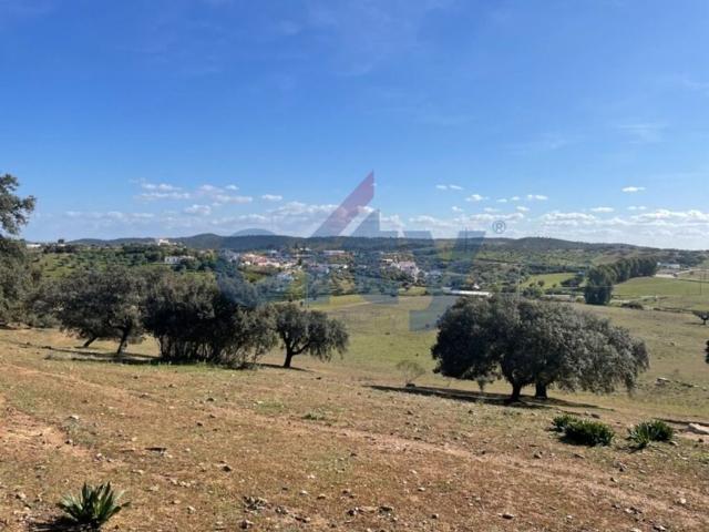 Prestigiosa casa de 297 m² à venda Portel, Portugal