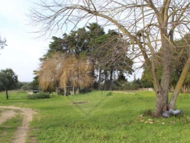 Prestigiosa casa de 200 m² à venda Aldeia de Irmaos, Setúbal
