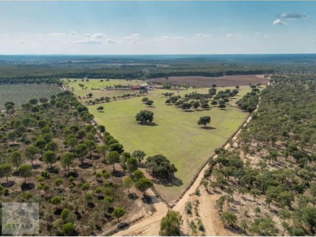 Prestigiosa casa de 360000 m² à venda Ponte de Sôr, Portalegre