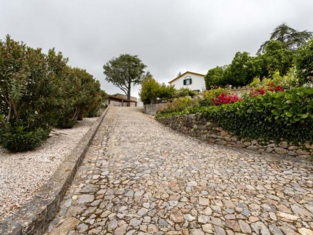 Prestigiosa casa de 369 m² à venda Castelo de Vide, Portugal
