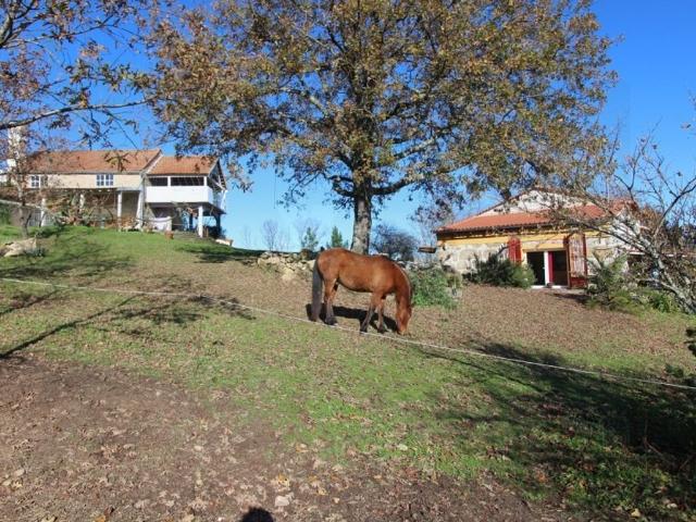 Casa de luxo de 300 m² à venda Seia, Portugal