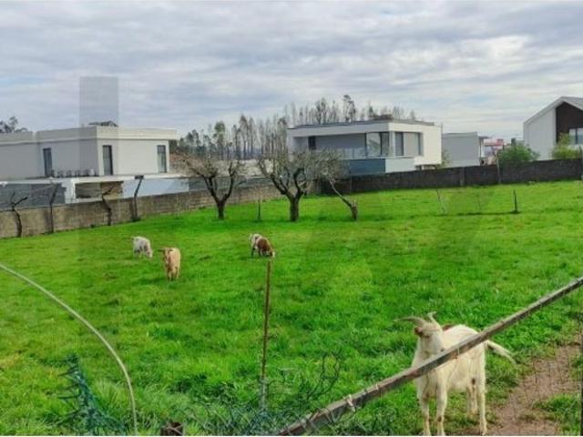 Casa de 319 m² à venda Albergaria a Velha, Portugal