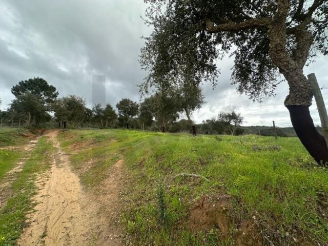 Casa de 49975 m² à venda Odemira, Beja