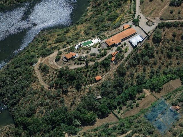 Prestigiosa casa de 656 m² à venda Avis, Portalegre