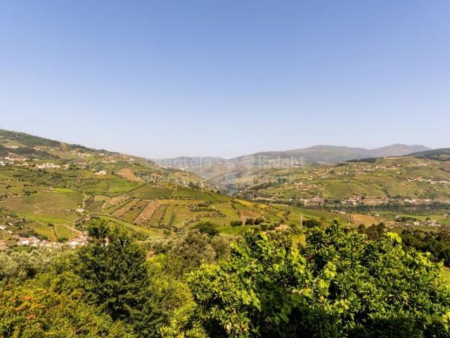 Casa de prestígio de 620 m² à venda Lamego, Portugal