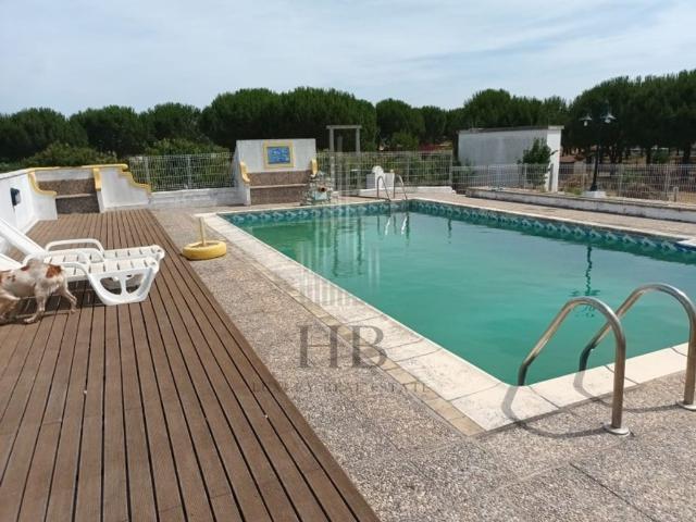 Casa de luxo de 800 m² à venda Coruche, Santarém