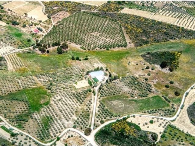 Prestigiosa casa de 812 m² à venda São João da Pesqueira, Portugal