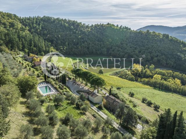 Prestigiosa e storica fattoria vitivinicola in vendita a cav. 3000m² Dicomano