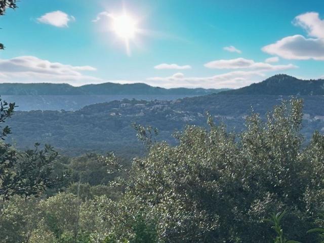Prestigieuse Maison en vente Sotta, Corse