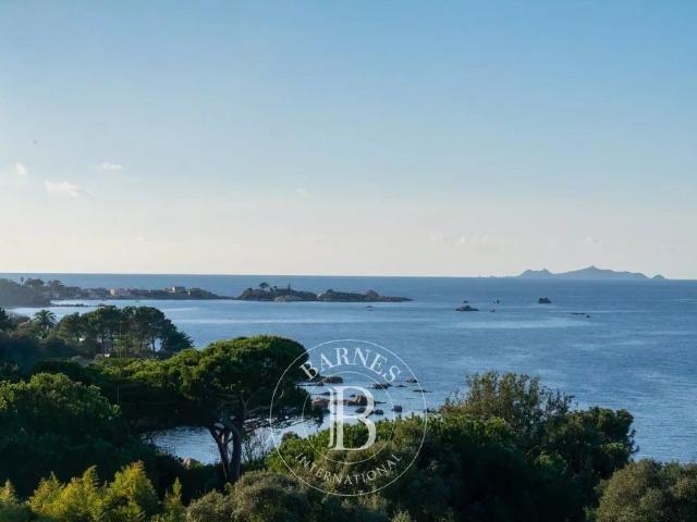 Prestigieux appartement en vente Porticcio, France