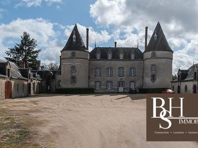 Prestigieux château de 400 m2 en vente Verneuil Moustiers, France
