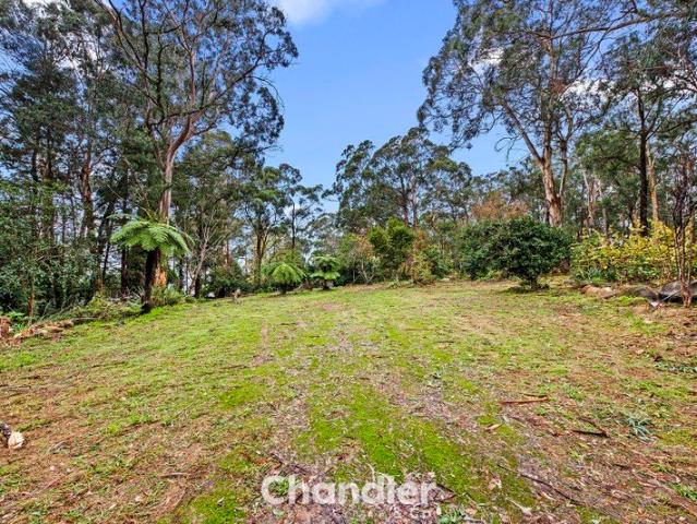 PRIVACY, CONVENIENCE & NATURAL BEAUTY ON OVER 1 ACRE!