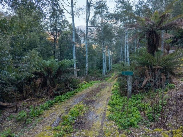 Privacy, Creek & Mountain Views