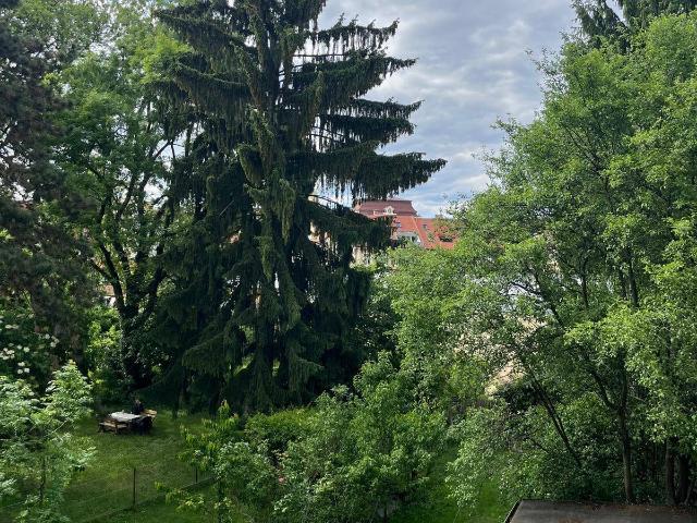 PRIVATVERKAUF: Wunderschöne Altbauwohnung mit Blick ins Grüne 95 m² in Graz St. Leonhard