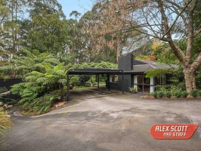 Private Oasis 'Fully Renovated Lifestyle Retreat'