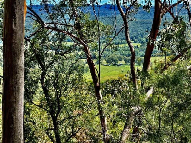 Private Bushland Escape